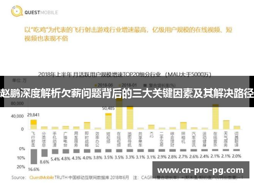 赵鹏深度解析欠薪问题背后的三大关键因素及其解决路径