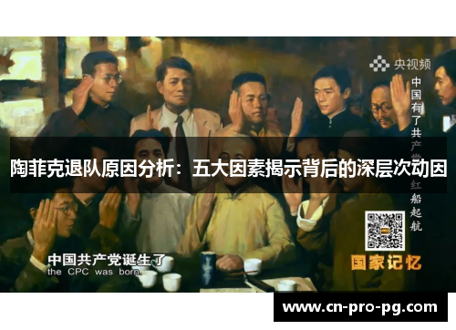 陶菲克退队原因分析：五大因素揭示背后的深层次动因